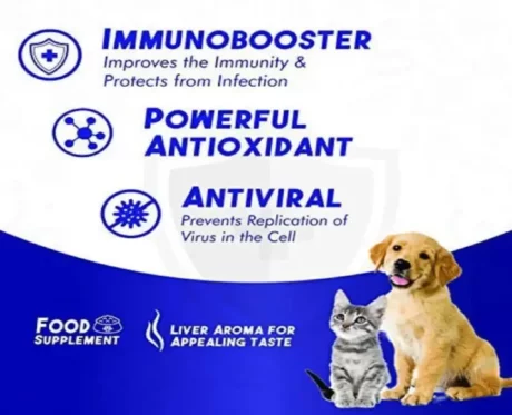 Vivaldis Viusid at ithinkpets.com