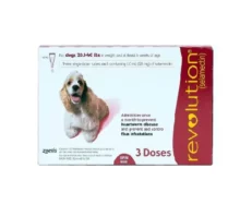 Zoetis Revolution Spot on for dogs at ithinkpets.com (1) (2)
