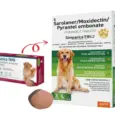 Zoetis Simparica Trio Chewable tablet for dogs, (20 – 40 Kg Weight) at ithinkpets.com 2 (1)