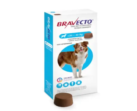 Bravecto Dog Tick and Flea Control Tablet, 20 to 40 KG at ithinkpets.com 1 (1)
