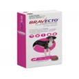 Bravecto Dog Tick and Flea Control Tablet