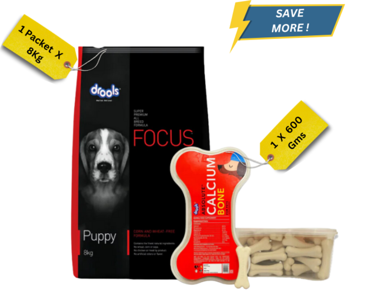 Focus puppy outlet