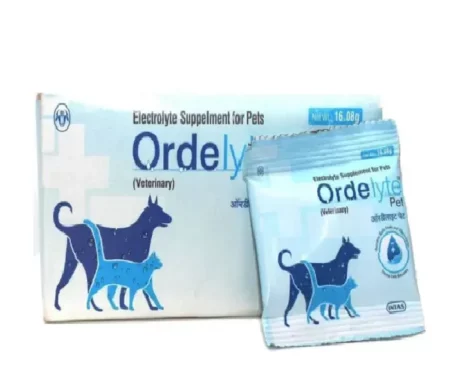 Intas Ordelyte Pet Powder, 20 Sachets at ithinkpets.com (1) (1)