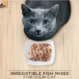 Me-O Delite Tuna with Crab Sticks in Jelly and Sheba Fish with Sasami Premium Cat Wet Food Combo