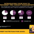 Pedigree PRO Dry Food for Small Breed and Dentastix Oral Care Adult Dog Treats Combo