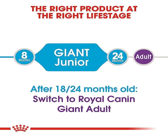 Royal Canin Giant Junior Dog Dry Food at ithinkpets.com (4)
