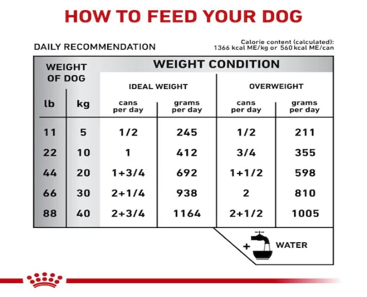 Royal Canin Hepatic Dog Wet Food, 420 Gms at ithinkpets.com (5)