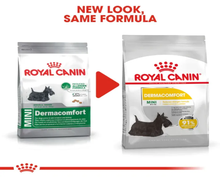 Royal Canin Mini Dermacomfort Adult Dry Dog Food at ithinkpets.com (7)