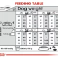 Royal Canin Mini Digestive Care Adult Dry Dog Food