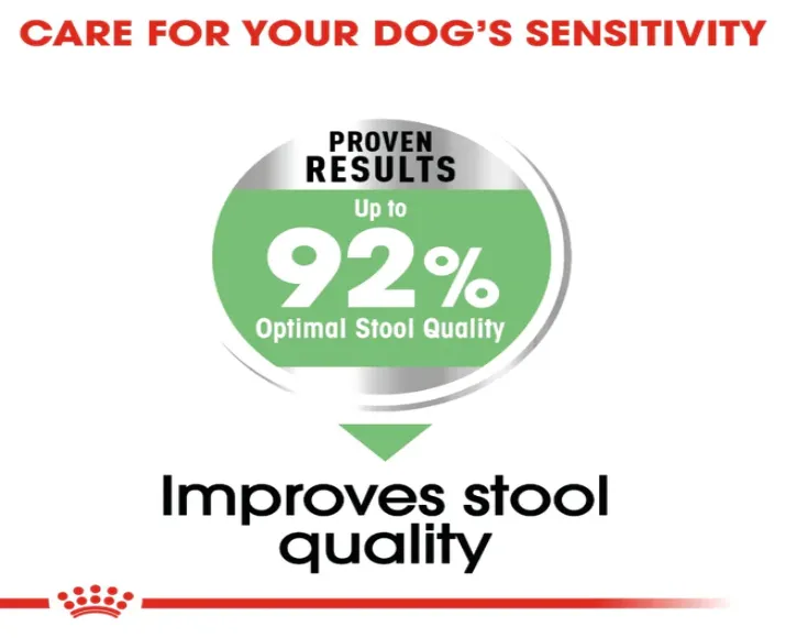 Royal Canin Mini Digestive Care Adult Dry Dog Food at ithinkpets.com (6)