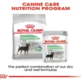 Royal Canin Mini Digestive Care Adult Dry Dog Food