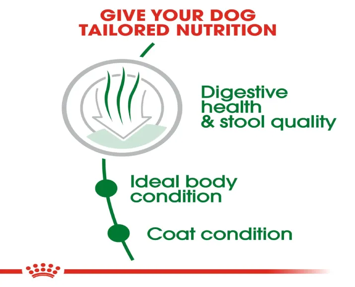 Royal Canin Mini Indoor Adult Dry Dog Food at ithinkpets.com (3)