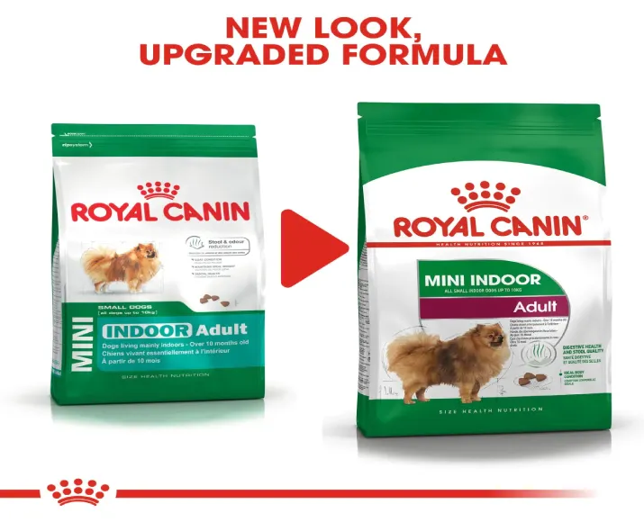 Royal Canin Mini Indoor Adult Dry Dog Food at ithinkpets.com (6)