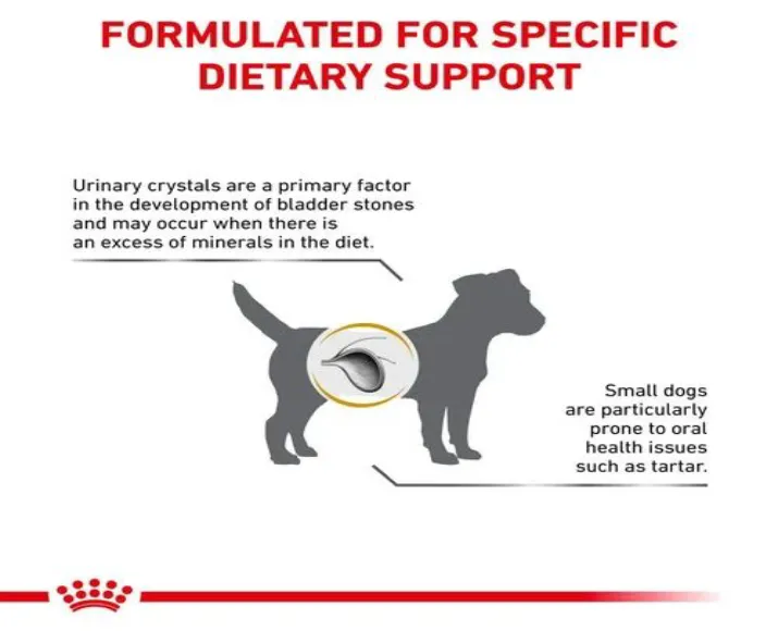 Royal Canin Veterinary Urinary SO Small Dog Dry Food at ithinkpets.com (2)