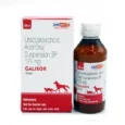 Savavet Galibor Oral Suspension for Pets, 100 ml