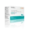 Savavet Ichmune C Gel Capsules 25 mg, 30 Capsules