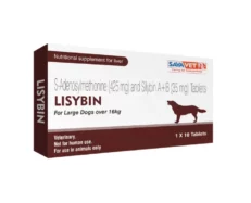 Savavet Lisybin Liver Support Tablets for Dogs and Cats ( Large)