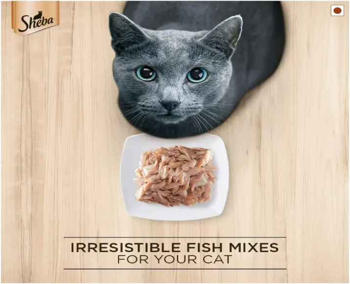 Sheba Fish with Sasami and Skipjack & Salmon Fish Mix Cat Wet Food Combo (24+24) at ithinkpets.com (11)
