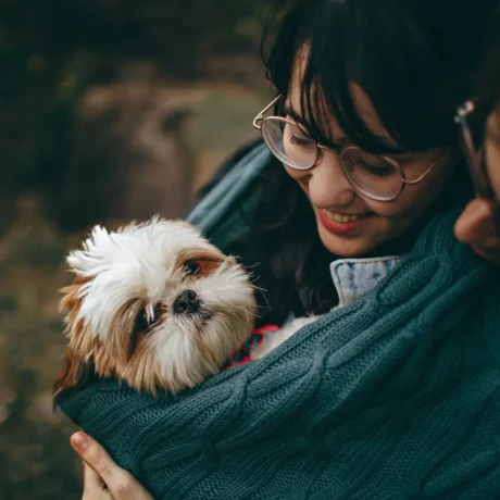 Shih Tzu's at ithinkpets 