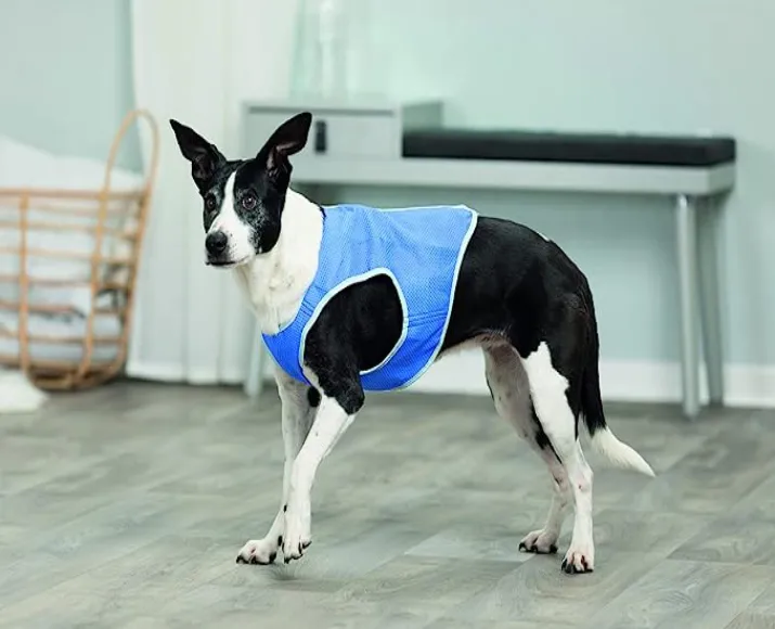 Trixie Cooling Vest PVA, Blue at ithinkpets.com (4)