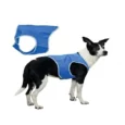 Trixie Cooling Vest PVA, Blue