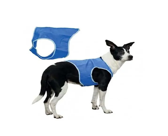 Trixie Cooling Vest PVA, Blue at ithinkpets.com (5)