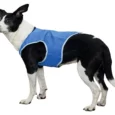 Trixie Cooling Vest PVA, Blue