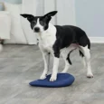 Trixie Dog Agility Balance Cushion, Dark Blue, 28x4x28 cm