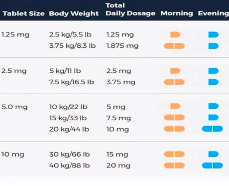 Veko Petmedin Pimobendan Chewable tabs for Dogs, 2.5 mg at ithinkpets.com (2)