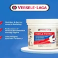 Versele Laga Muscle Power for Pigeons & Other Birds,150 caps