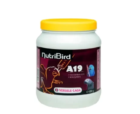 Versele Laga Nutribird A19 Hand-Feeding Formula, 800 Gms at ithinkpets.com (1) (2)