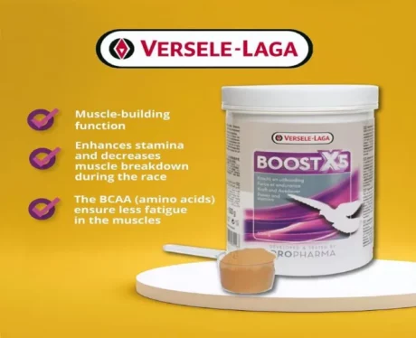 Versele Laga Oropharma Boost X5 Powder for Birds, 500 Gms at ithinkpets.com (2)