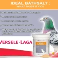 Versele Laga Oropharma Ideal Bathsalt for birds, 1 Kg