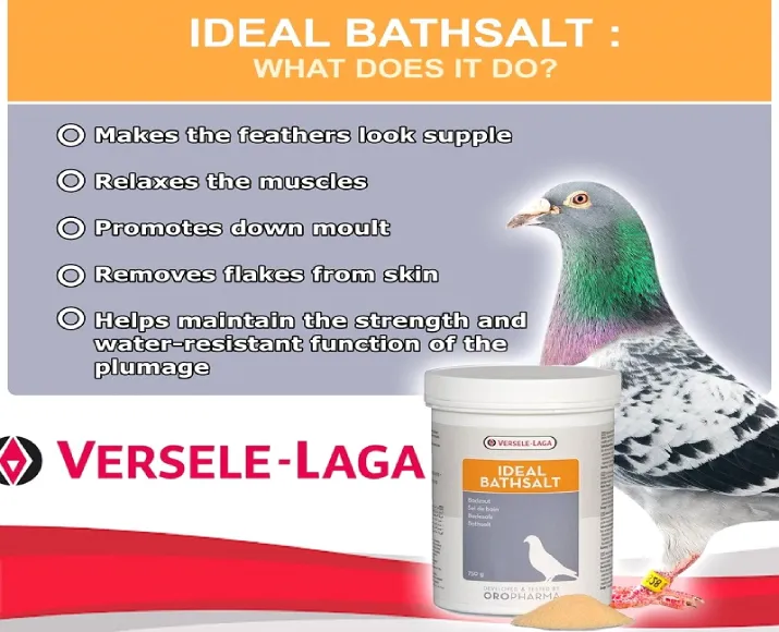 Versele Laga Oropharma Ideal Bathsalt for birds, 1 Kg at ithinkpets.com (3)