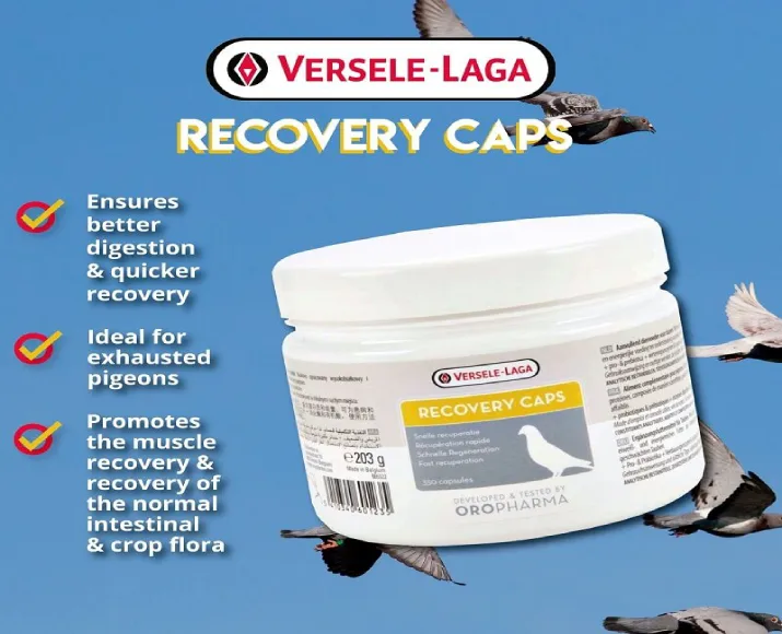 Versele Laga Recovery Caps for pigeons, 350 Capsules at ithinkpets.com (2)