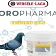 Versele Laga Recovery Caps for pigeons, 350 Capsules