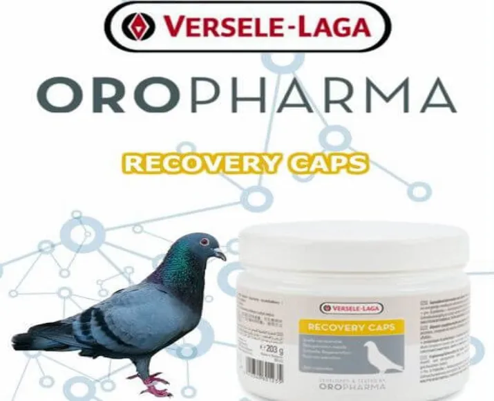 Versele Laga Recovery Caps for pigeons, 350 Capsules at ithinkpets.com (3)