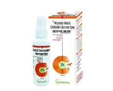 Vetoquinol Dermichlor Spray, 100 ml at ithinkpets.com (1) (1)