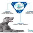 Virbac Veggiedent Dental Chew For Dogs, 3 Sizes