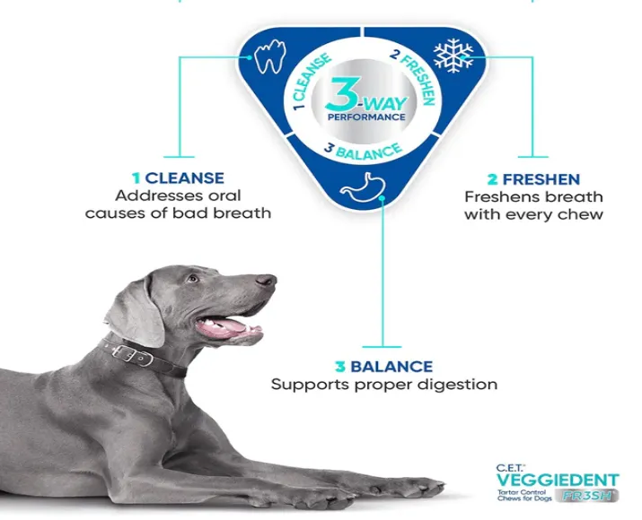 Virbac Veggiedent Dental Chew For Dogs, 3 Sizes at ithinkpets.com (6)
