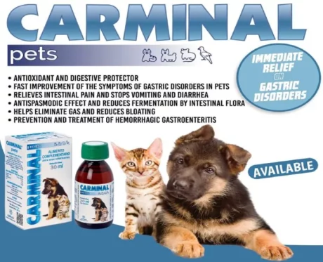 Vivaldis Carminal Syrup for Pets, 60 ml at ithinkpets.com (2)