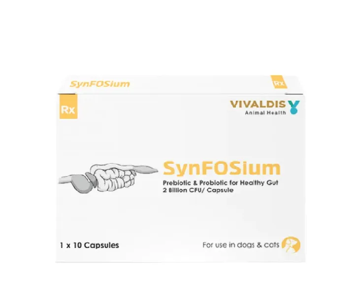 Vivaldis Synfosium Capsule, 10 Tablets at ithinkpets.com (1) (1)