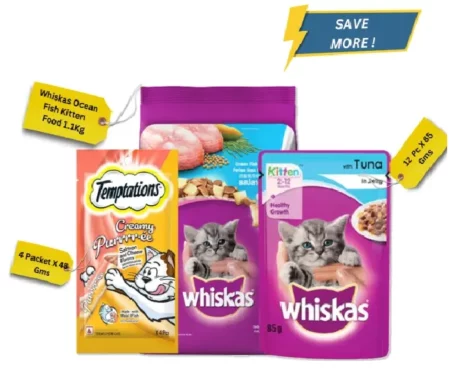 Whiskas Kitten Combo at ithinkpets.com (1) (1)