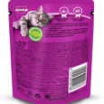 Whiskas Salmon in Gravy Meal and Chicken Gravy Adult Cat Wet Food Combo, 48 Pcs