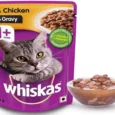 Whiskas Tuna in Jelly Kitten and Chicken Gravy Adult Cat Wet Food Combo, 24 Pcs