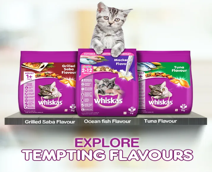 Whiskas Tuna in Jelly Meal Adult Cat Wet Food and Tuna Flavour Adult Cat Dry Food Combo at ithinkpets.com (7)