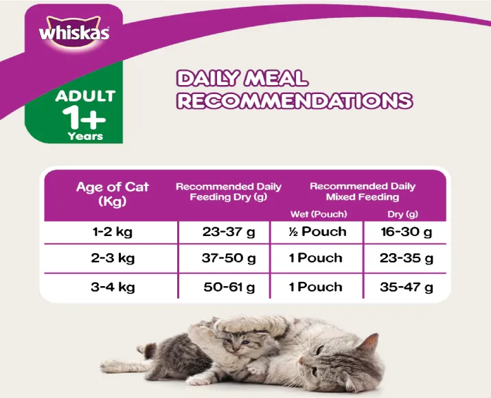 Whiskas Tuna in Jelly Meal Adult Cat Wet Food and Tuna Flavour Adult Cat Dry Food Combo at ithinkpets.com (8)