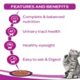 Whiskas Tuna in Jelly Meal and Chicken Gravy Adult Cat Wet Food Combo