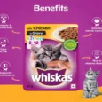 Whiskas Tuna in Jelly and Chicken in Gravy Meal Kitten Wet Food Combo, 48 Pcs