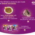 Whiskas Tuna in Jelly and Chicken in Gravy Meal Kitten Wet Food Combo, 48 Pcs